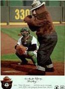 Smokey the Bear Baseball Card 1984