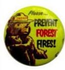Smokey the Bear Pinback Pin Badge 1960