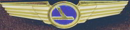 Eastern Airlines Airline Travel Toy Pins