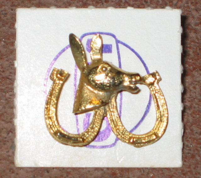 Gulf Oil Horsehoe Donkey Democrat Pin