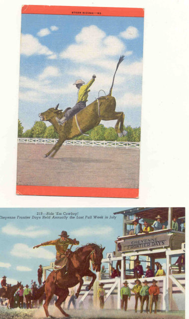 Rodeo Postcards