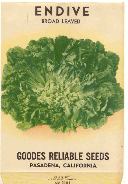 Endive Vegetable Seed Pack 1920s