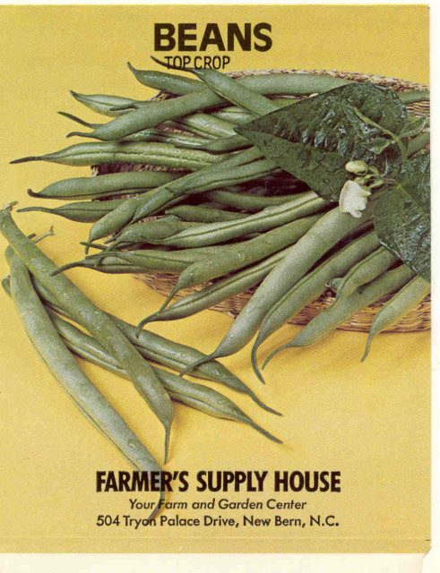 Green Beans Seed Pack