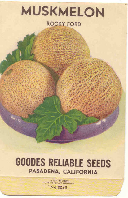 Pasadena Muskmelon Fruit Seed Pack