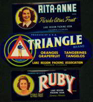 Bermuda Triangle Crate Labels