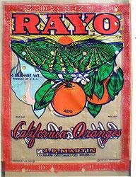 Rayo California Orange Bag