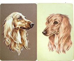 Saluki Playing Cards