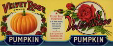 Velvet Rose Pumpkin Label
