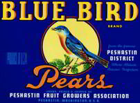 Blue Bird Pears Crate Label