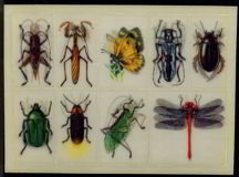 Flicker Stickers Sheet