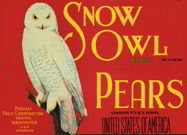 Red Snow Owls Pear Label