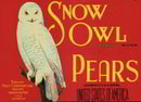 Red Snow Owls Pear Label