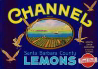 Channel Lemon Label