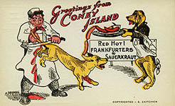 Coney Island Postcard
