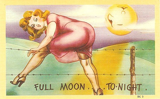Full Moon Pinup Comical Postcards
