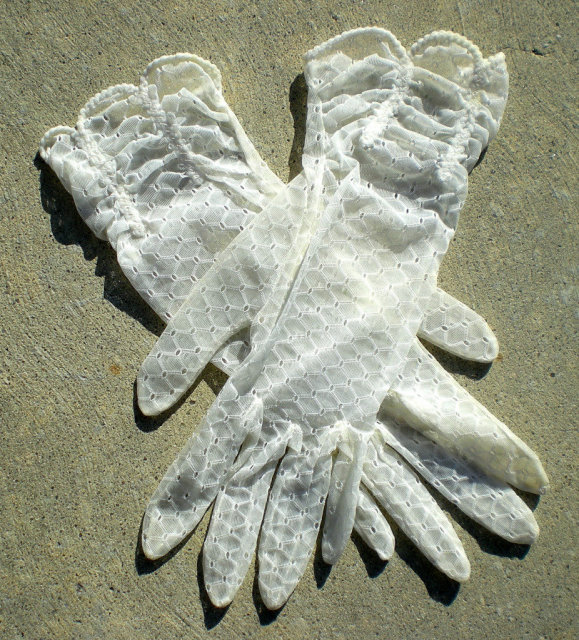 Cream Lace Gloves