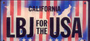LBJ Flasher License Plate Novelty