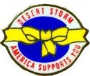 Desert Storm Lapel Pin