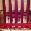 ****MUST SEE**** Vintage Fork and Knife Set With Handles Made of Shell