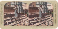 Stereoview Card - Feed Pigeons Piazza delta Signor, Florence, Italy