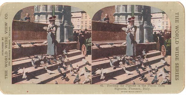 Stereoview Card - Feed Pigeons Piazza delta Signor, Florence, Italy