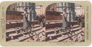 Stereoview Card - Feed Pigeons Piazza delta Signor, Florence, Italy