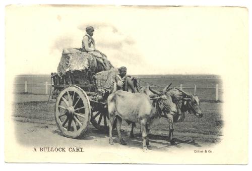 India Business/Working 5 Old Antique Post Cards