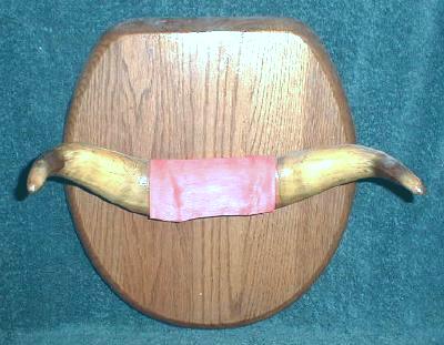 Old Steer / Bull Horns Mounted Taxidermy Western Decor