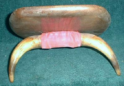 Old Steer / Bull Horns Mounted Taxidermy Western Decor