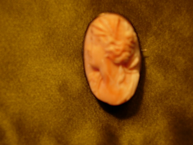 Beautiful Coral Cameo