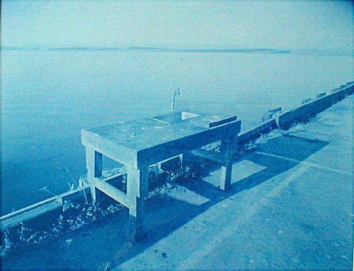 Fish Table, Morro Bay Modern cyanotype