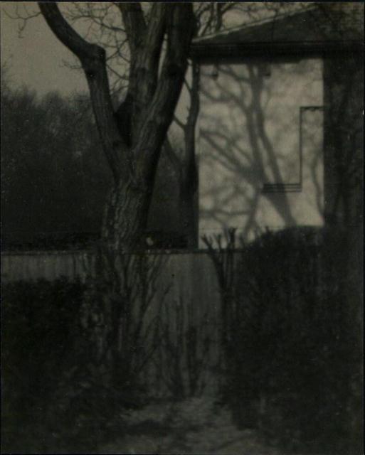 Trott: Substance and Shadow