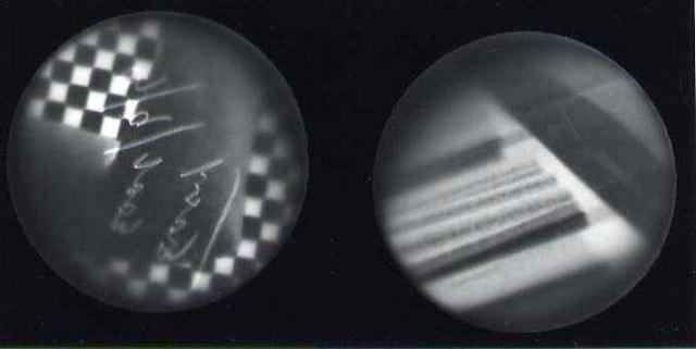 Norman Kulkin: untitled photogram (number 0881)