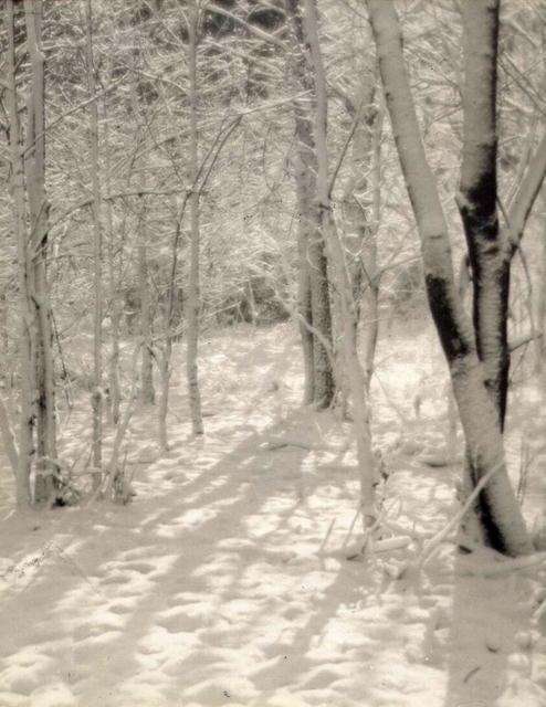Langdon H. Longwell: The Woods in Winter