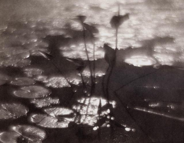 Beech Forest Pond, Provincetown - modern pictorial style photograph by Peter Mc Donough