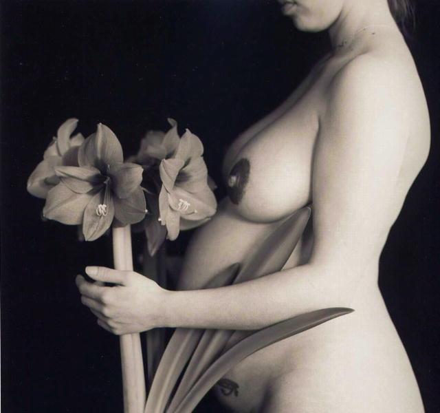 Margaretta Mitchell: Amaryllis
