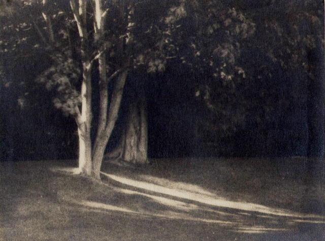 Knight Studio: Sunlit Lawn