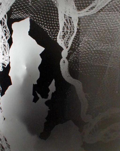 photogram: Silhouette