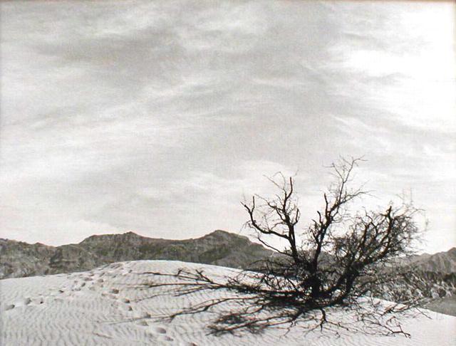 Rita Ehret: Solitude Invaded
