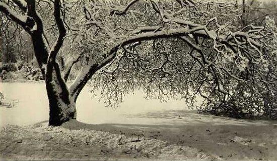 Mitchel A. Obremski: Winter