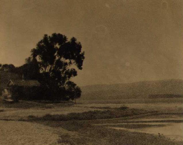 Sigismund Blumann: Marsh Misty