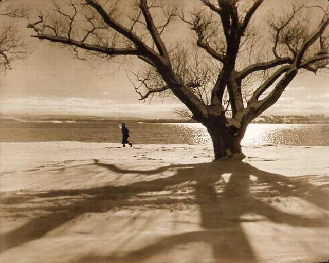 Mitchel Obremski: Along Onondaga Lake - Winter