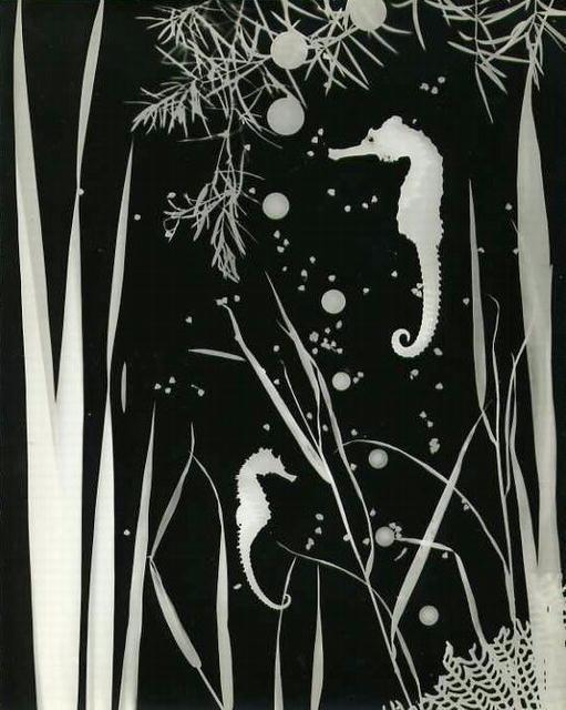 Mitchel Obremski: Piscatorial Fantasy 3