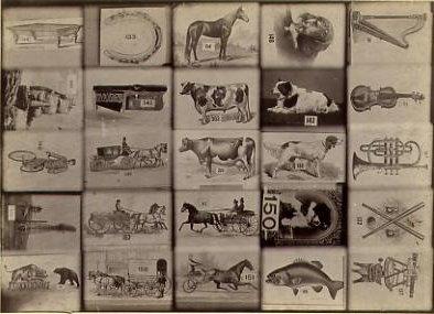 catalogue card