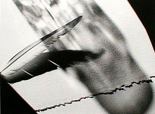 Bob Goldman: Feather
