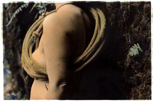 Rebecca Martinez: 'Incidental Orbit' hand painted photograph