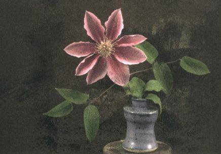 Catharina Marlowe: Clematis in Purple Vase