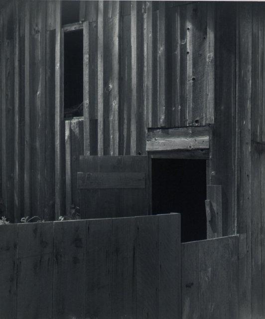 Imogen Cunningham: Abstract Wall