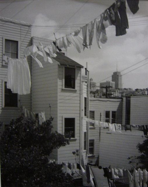 Imogen Cunningham: From the Back Porch of 1331