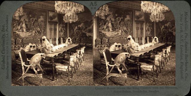 Stereocollision - contemporary stereo cards